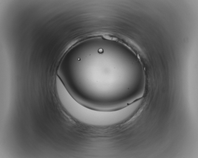 X0000115481177200911131209