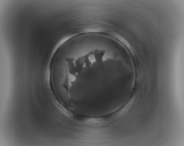 X0000115481179200911131209