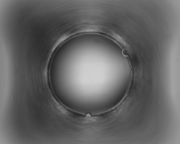 X0000115481181200911131209