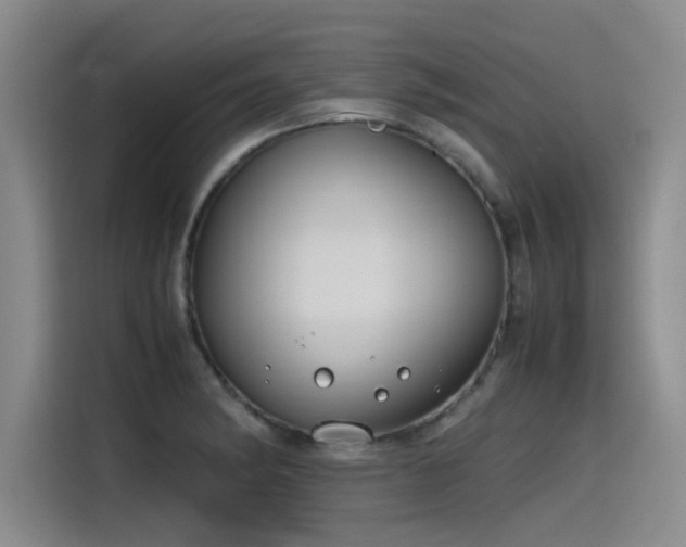 X0000115481182200911131209