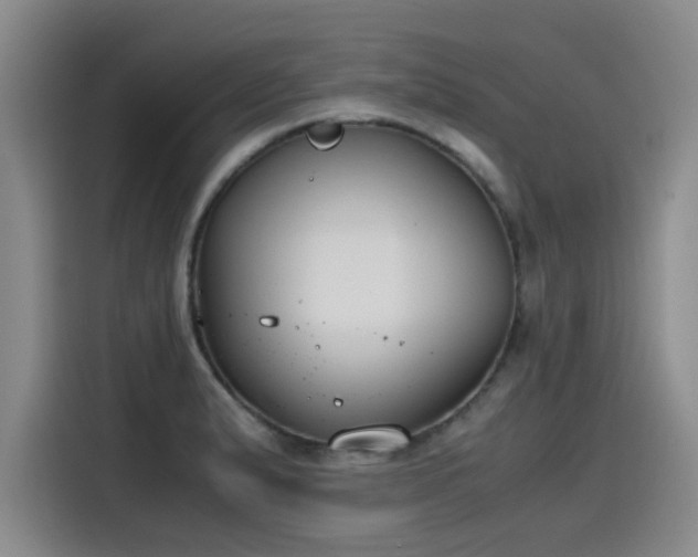 X0000115481183200911131209