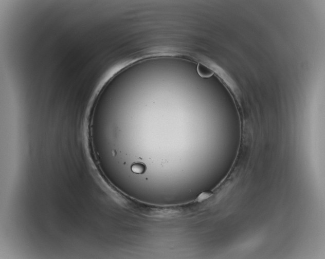 X0000115481187200911131209