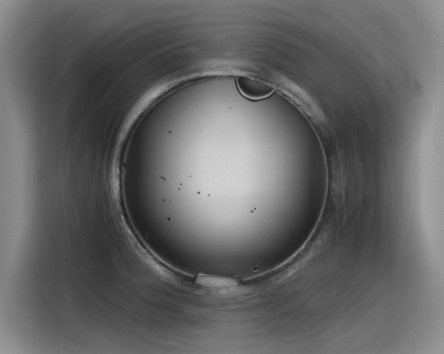 X0000115481188200911131209