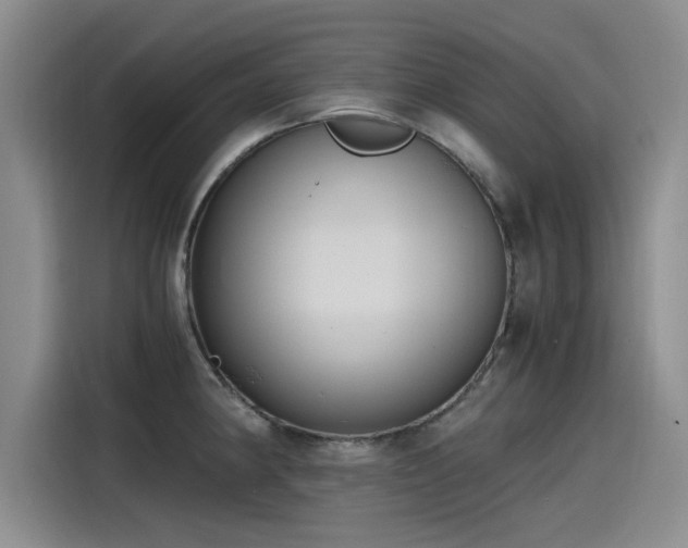 X0000115481190200911131209