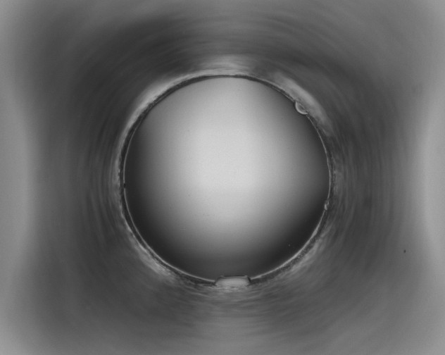 X0000115481192200911131209