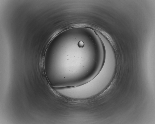 X0000115481193200911131209