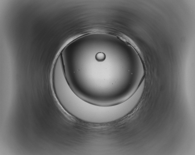 X0000115481195200911131209