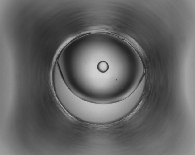 X0000115481196200911131209