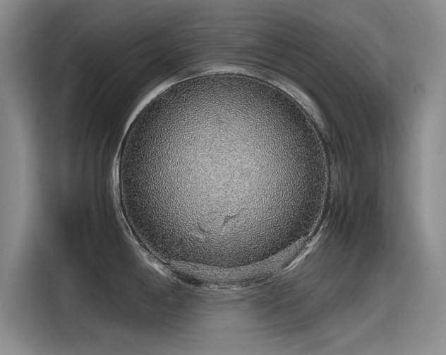 X0000115481198200911131209