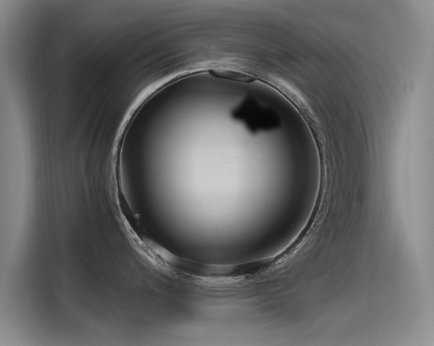 X0000115481200200911131209