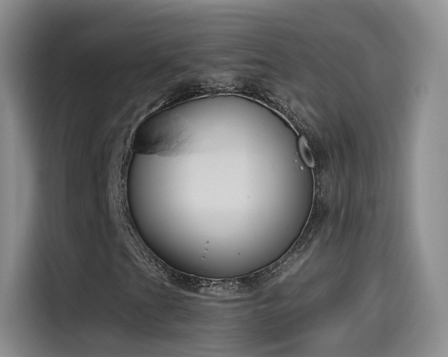 X0000115481201200911131208