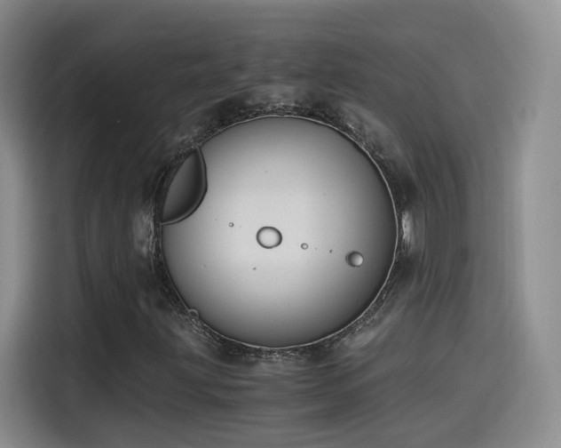 X0000115481203200911131208