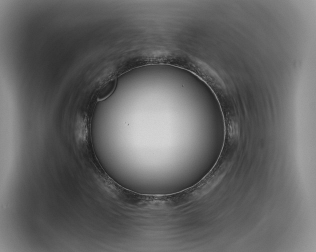 X0000115481204200911131208