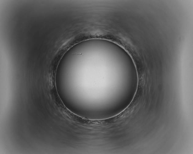 X0000115481205200911131208