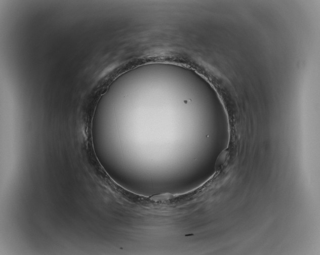 X0000115481206200911131208