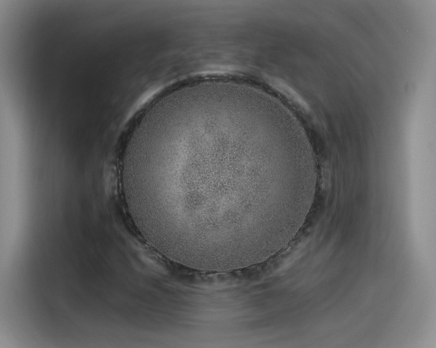 X0000115481208200911131208