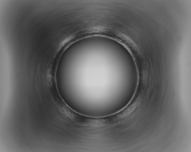 X0000115481210200911131208