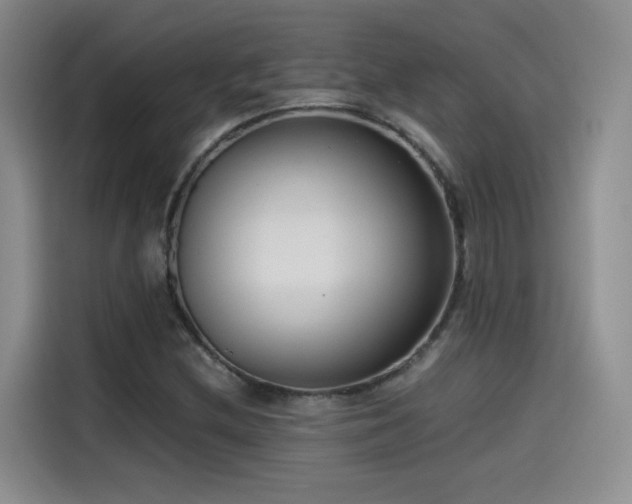 X0000115481212200911131208