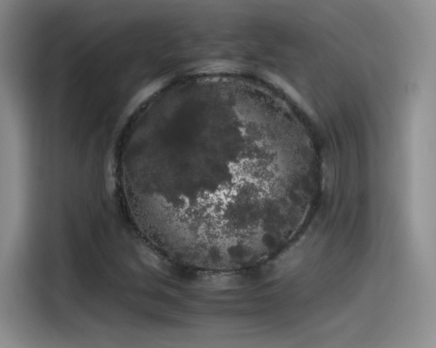 X0000115481213200911131208