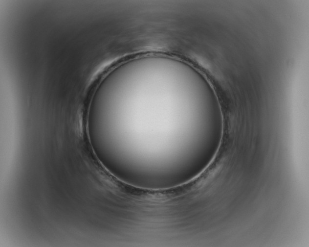 X0000115481214200911131208