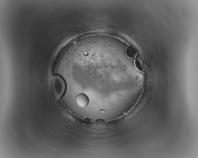 X0000115481215200911131208