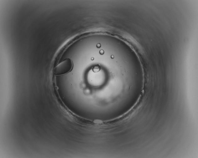 X0000115481216200911131208