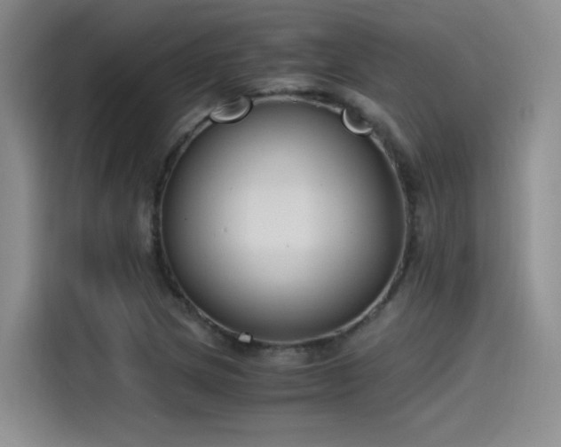 X0000115481217200911131208