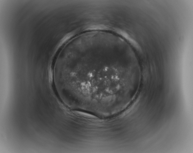 X0000115481221200911131209