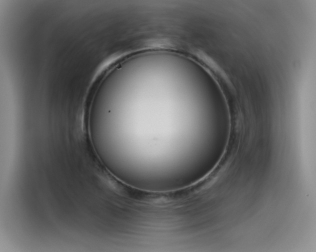 X0000115481222200911131209