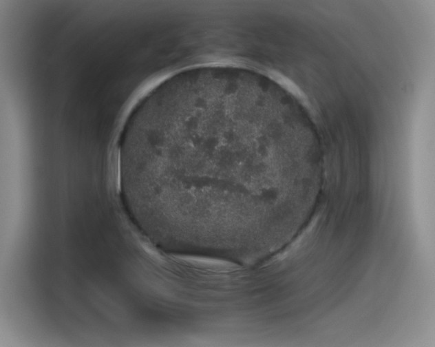 X0000115481223200911131209