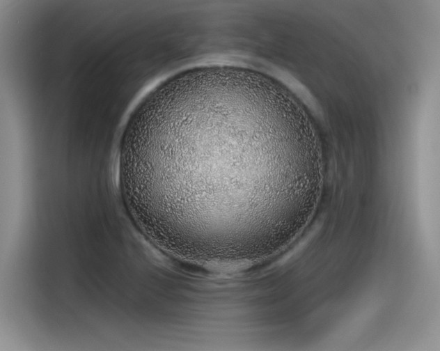 X0000115481224200911131209