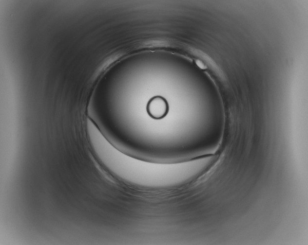 X0000115481225200911131209