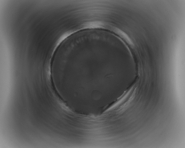 X0000115481226200911131209