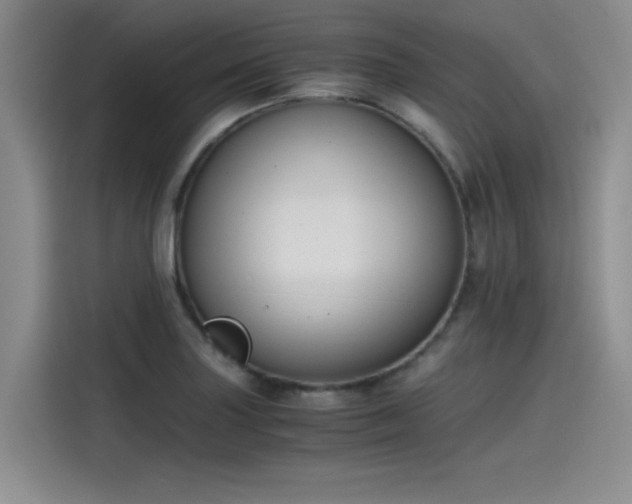 X0000115481227200911131209