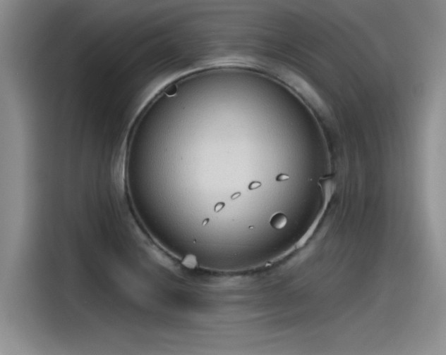 X0000115481228200911131209