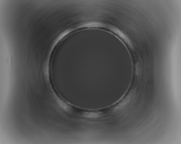 X0000115481229200911131209