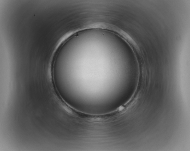 X0000115481230200911131209