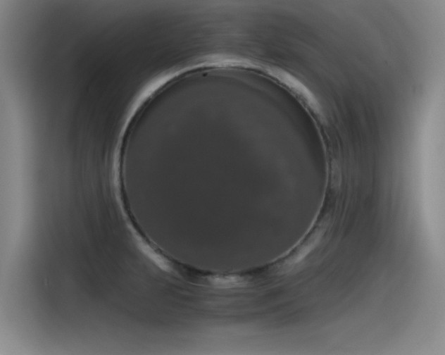 X0000115481231200911131209