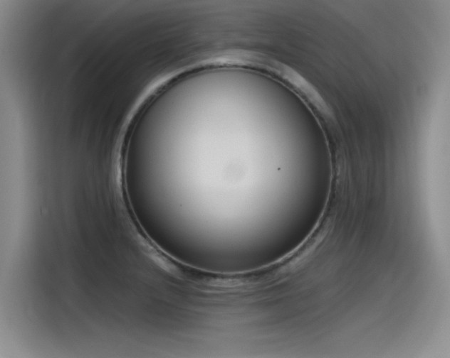 X0000115481232200911131209