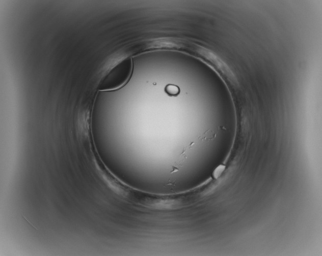 X0000115481233200911131209