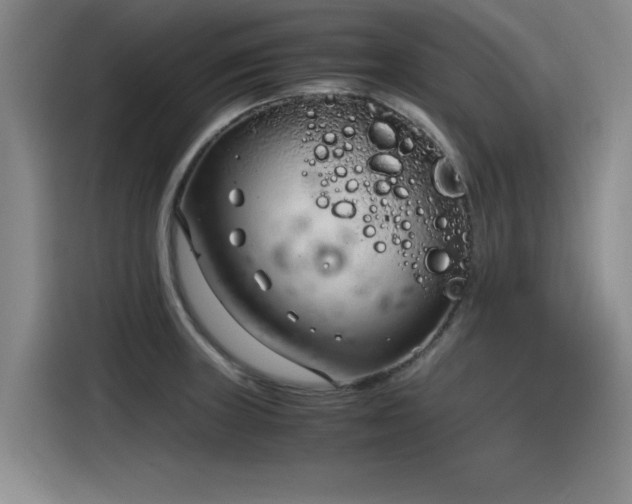 X0000115481235200911131209