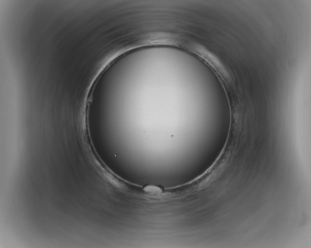 X0000115481236200911131209