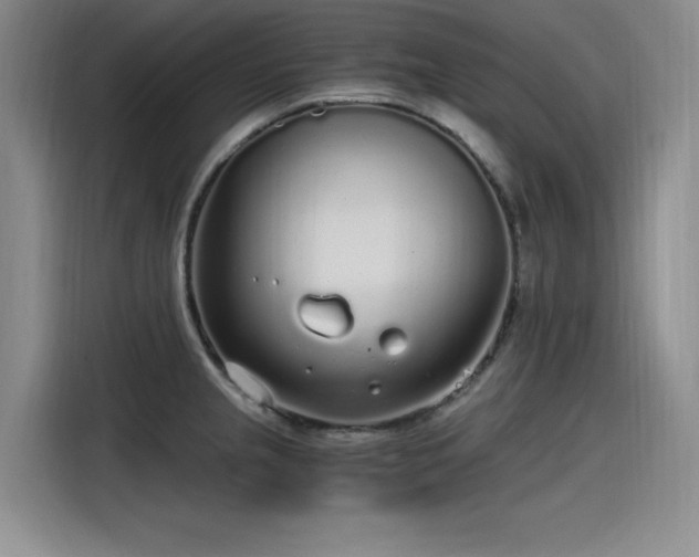 X0000115481237200911131209