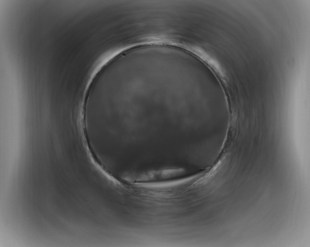 X0000115481239200911131209