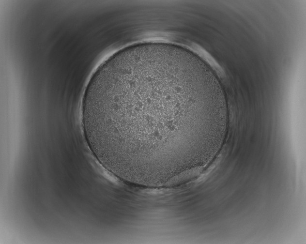 X0000115481240200911131209