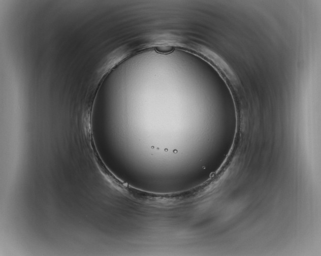 X0000115481241200911131209