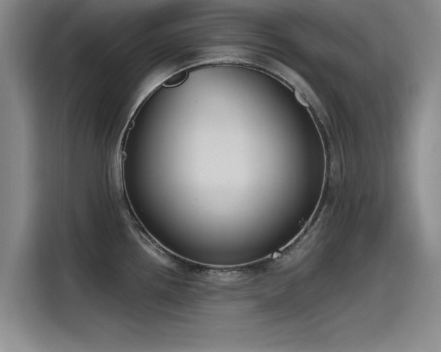 X0000115481242200911131209