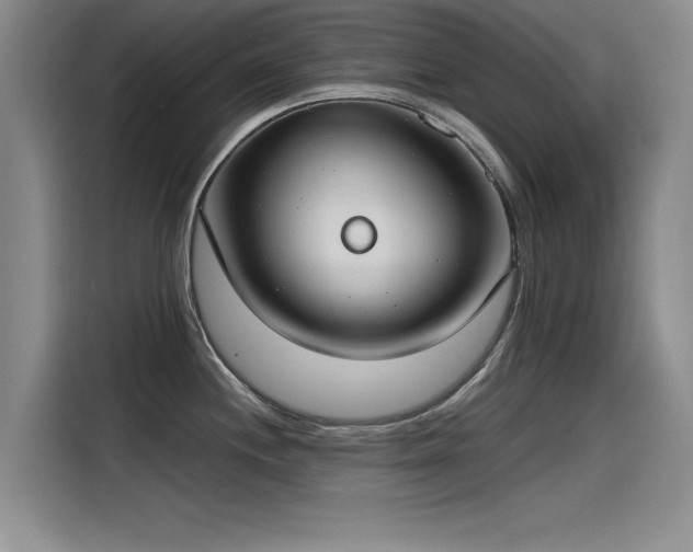 X0000115481244200911131209