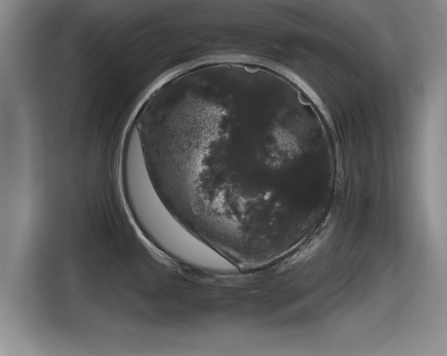 X0000115481245200911131209