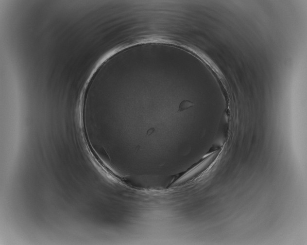 X0000115481246200911131209